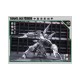 Cang-Toys TA-HCZ003 Swordion